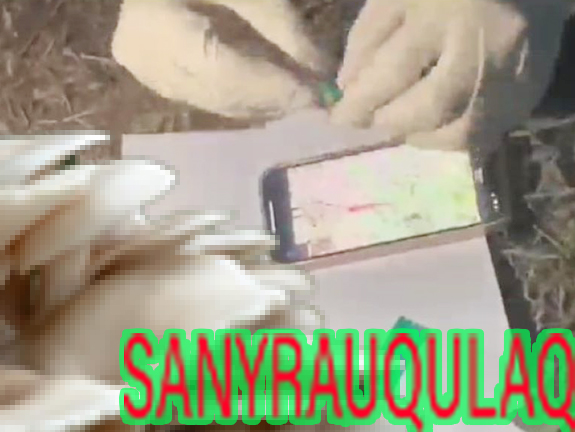 sanyrauqulaq